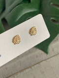 Monstera Leaf Studs