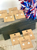 Firecracker Frost Stars